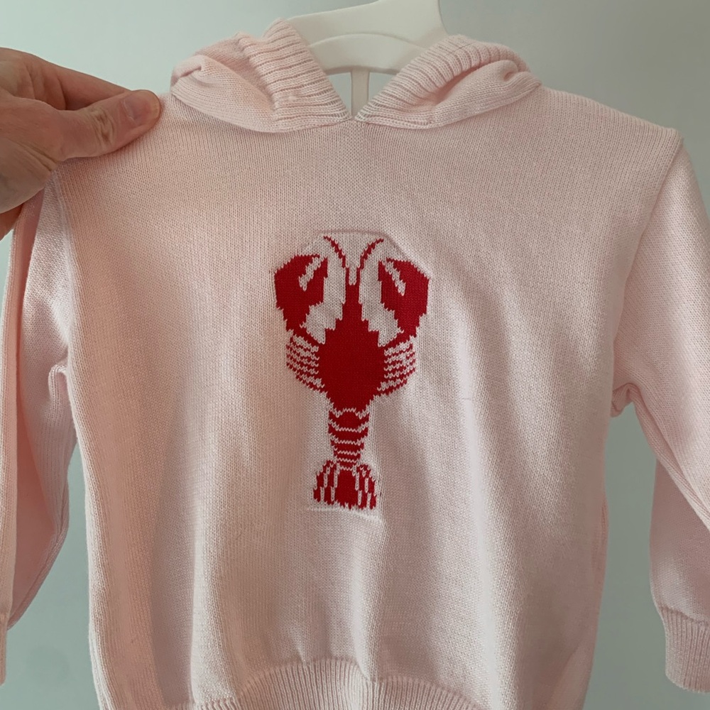 Pink Hoodie with Red Lobster Design